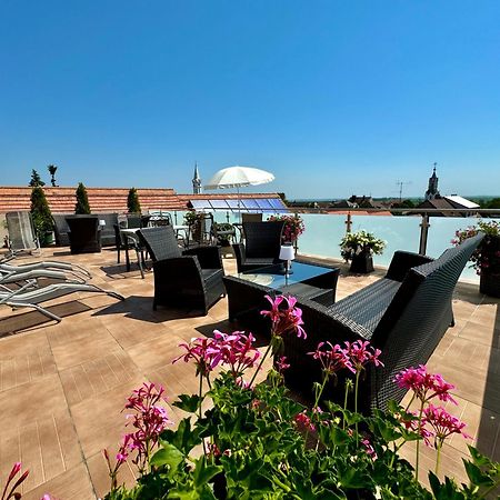 Pension Seeblick Fertőmeggyes Kültér fotó